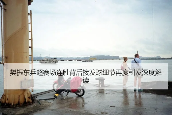 樊振东乒超赛场连胜背后接发球细节再度引发深度解读