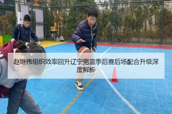 赵继伟组织效率回升辽宁男篮季后赛后场配合升级深度解析